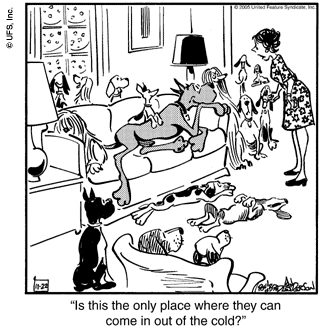 marmaduke